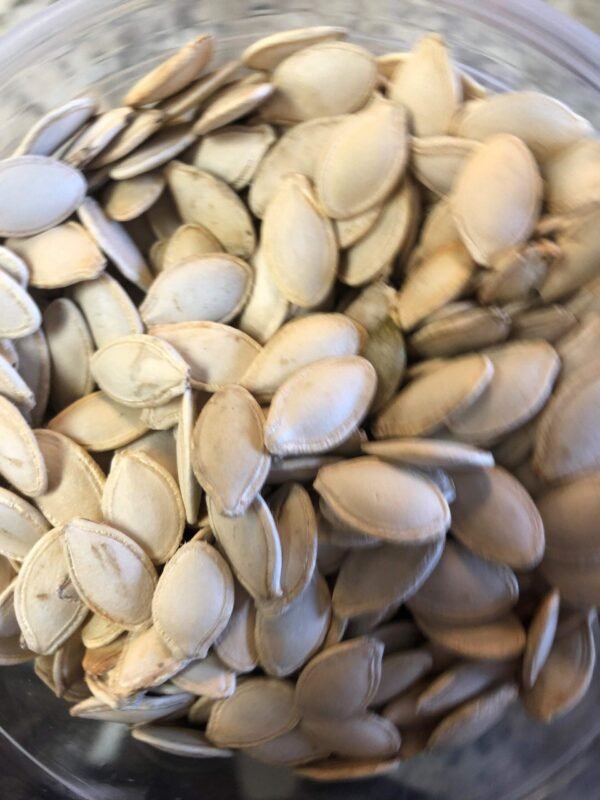 Pumpkin Seed