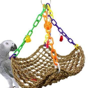 Platform Swing
