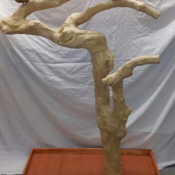 Special order tree