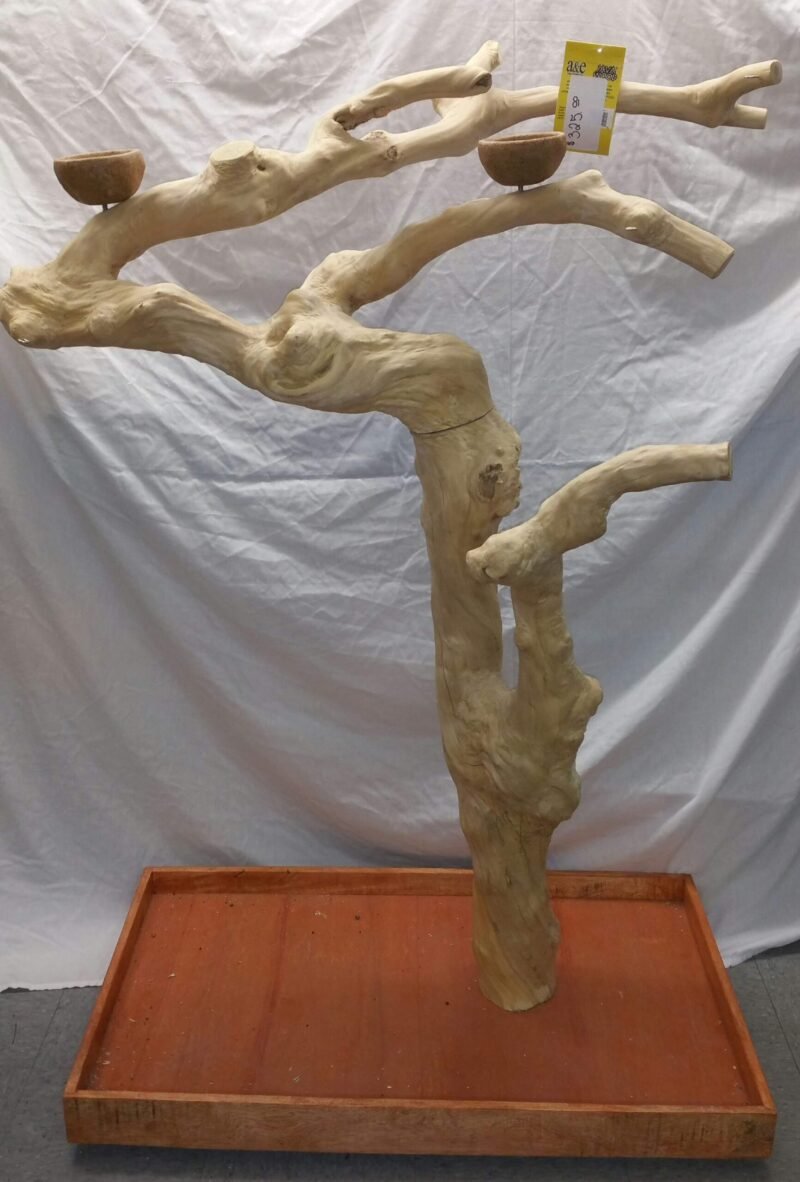Special order tree