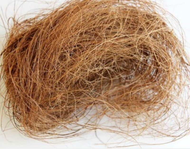 Coco Fiber