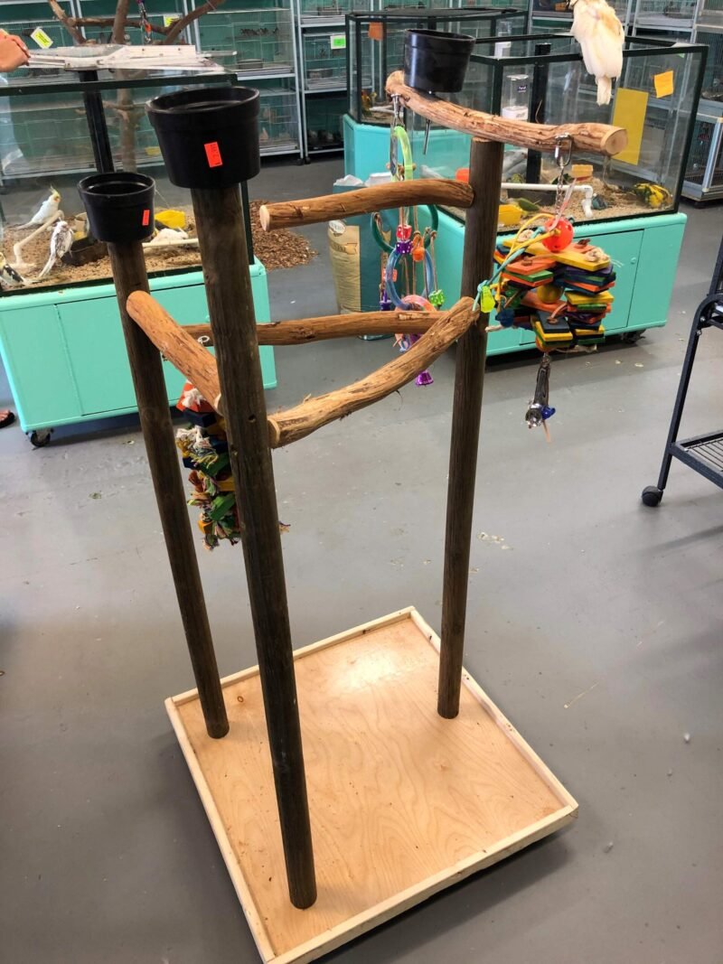 LG Custom Perch 1 - Image 2