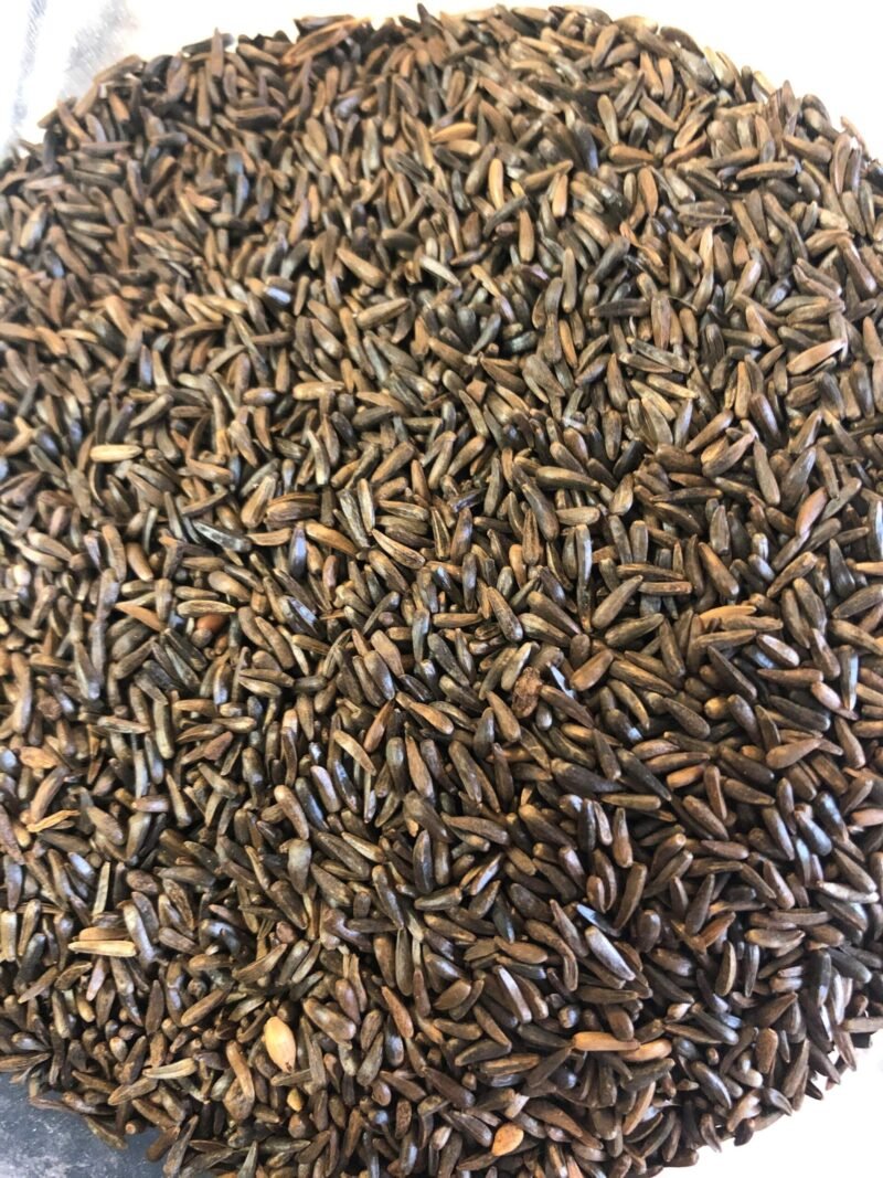 Nyjer Seed