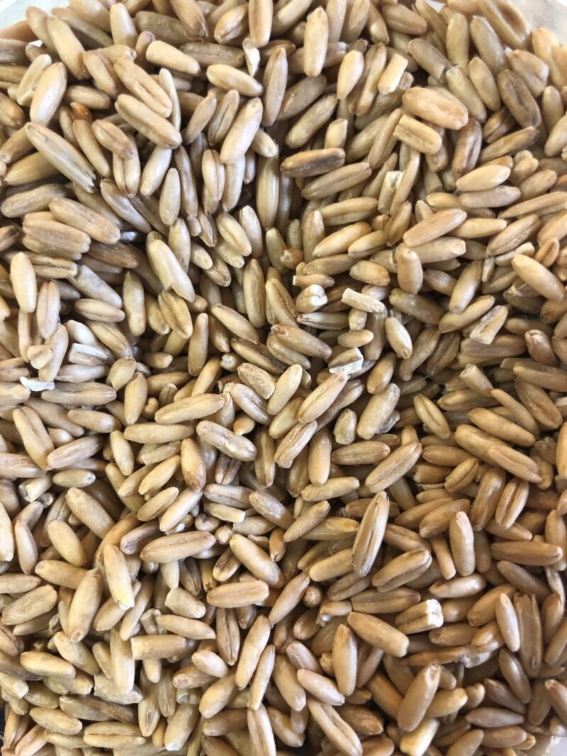 Oats