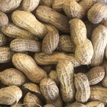 Raw Peanuts