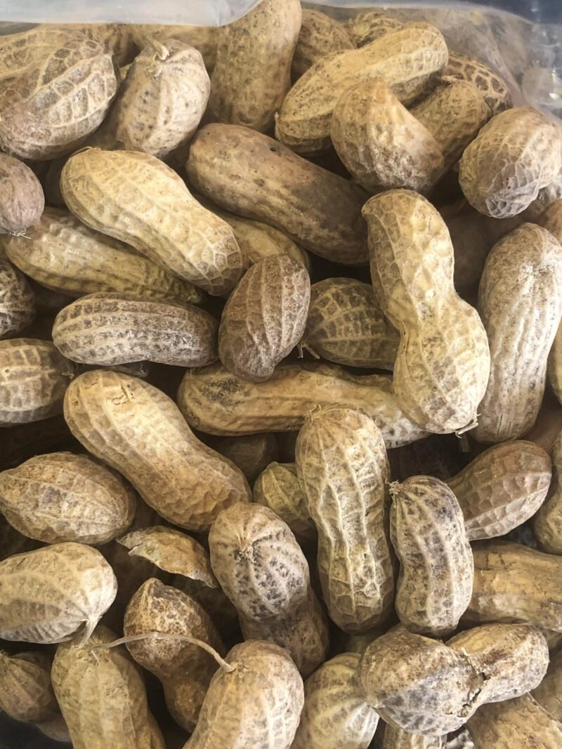Raw Peanuts