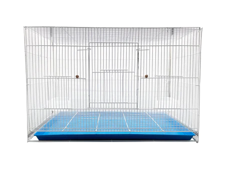 Shop Primary Image