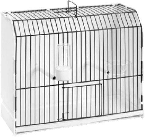 Shop Primary Image