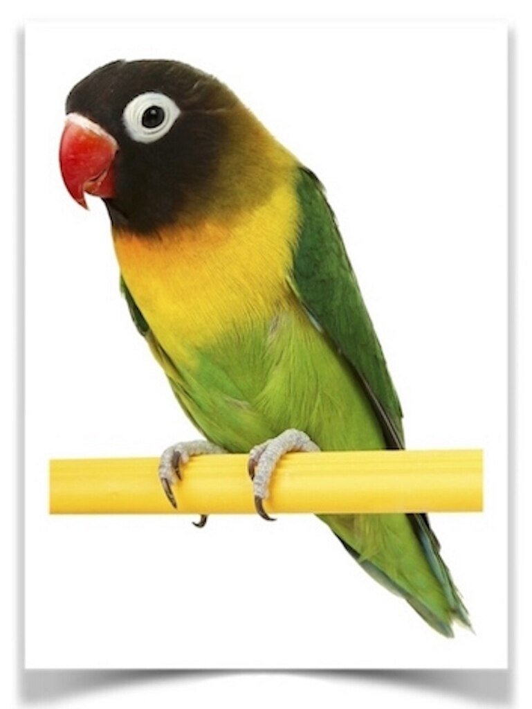 Shop Primary Image
