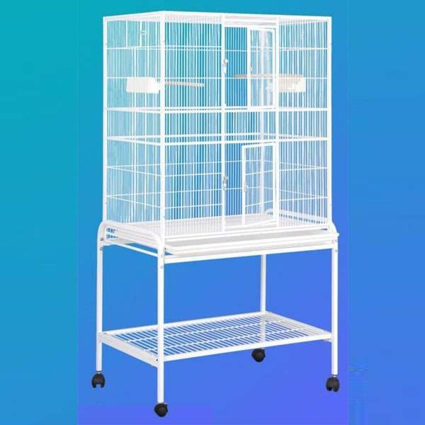 Shop Primary Image