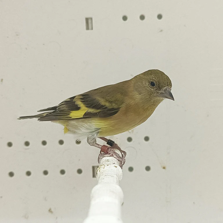 Shop Secondary Image